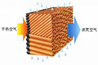 1681734626891102.jpg 微信圖片_20230312130932.jpg